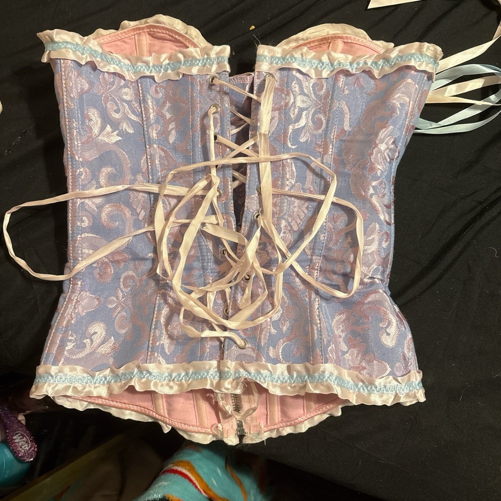 Elegant Pink and Blue Corset